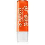 Benecos Natural Care balzám na rty s vůní Orange 4.8 g