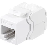 Síťový adaptér Renkforce RF-4531606 CAT 6A, [1x RJ45 zásuvka - 1x RJ45 zásuvka]