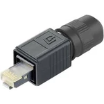 Telegärtner J80026A0013 - zástrčka, rovná RJ45 počet pólů: 8P8C, černá, 1 ks