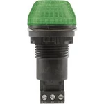 Signální osvětlení LED Auer Signalgeräte IBS, zelená, trvalé světlo, blikající světlo, 230 V/AC