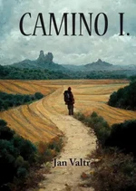 Camino 1. - Jan Valtr