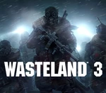 Wasteland 3 Steam Account