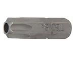 BGS Technic BGS 4450 Šroubovací bit 5/16" T-profil T 50 x 30 mm, s vrtáním