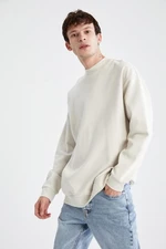 DEFACTO Men's Beige Boxy Fit Crew Neck Printed Sweatshirt