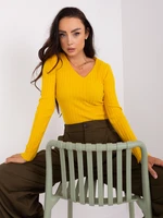 Navy yellow fitted classic women's sweater