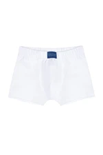 Apollo Boys' Boxers - White