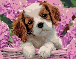 Zuty Pintura de diamantes Puppy And Hydrangea