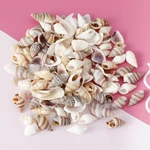 Natural Ocean Shell Conch Rsein Filling Tool Seashells Style Decoration Shell for DIY Craft Epoxy Resin Mold Jewelry Making