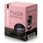 COLORWIN Pudr na šediny černý 3,2 g