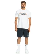 Men's short Quiksilver LOCAL SURF SHORT