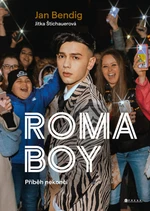 Roma boy - Jitka Štichauerová, Jan Bendig - e-kniha