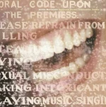 Alanis Morissette - Supposed Former Infatuation Junkie (180g) (2 LP)