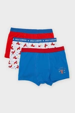 DEFACTO Boy Printed 3-Pack Boxer