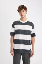 DEFACTO Anthracite Boxy Fit Crew Neck Striped Cotton Short Sleeve T-Shirt