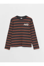 LC Waikiki Crew Neck Striped Long Sleeve Boys' T-Shirt