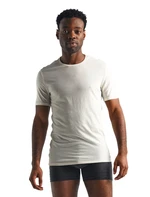 Men's T-shirt Icebreaker Anatomica SS Crewe white