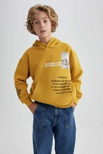 DEFACTO Oversize Fit Hooded Sweatshirt