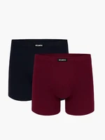 Boxer shorts Atlantic 2MH-173 A'2 M-2XL navy blue-wine 01