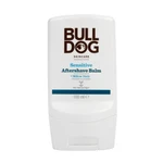 Bulldog Sensitive Aftershave Balm balzám po holení 100 ml