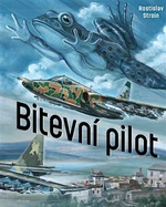 Bitevní pilot (Defekt) - Rostislav Stroin