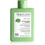 Teaology Hair Matcha Repair Shampoo šampon pro posílení vlasů 250 ml