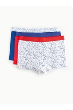 LC Waikiki Printed Cotton Boys' Boxer 3-Pack