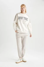 DEFACTO Standard Fit With Pockets Thick Sweatshirt Fabric Pants