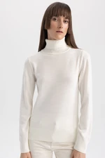 DEFACTO Regular Fit Turtleneck Basic Knitwear Sweater