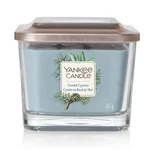 Yankee Candle Aromatická sviečka stredná hranatá Coastal Cypress 347 g