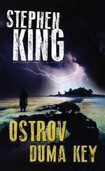 Ostrov Duma Key - Stephen King