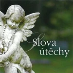 Různí interpreti – Slova útěchy