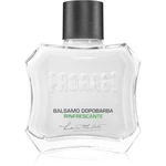 Proraso Green osviežujúci balzam po holení 100 ml