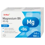 Dr.Max Magnesium B6 Laktát