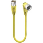 Připojovací kabel pro senzory - aktory Lumberg Automation RSUF 19-RKWU 19-S4740/12 M 16917 zástrčka, zahnutá, spojka, rovná, 12.00 m, 1 ks