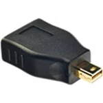 DisplayPort / Mini-DisplayPort adaptér LINDY [1x mini DisplayPort zástrčka - 1x zásuvka DisplayPort] černá