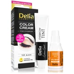 Delia Cosmetics Argan Oil barva na obočí odstín 1.0 Black 15 ml