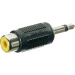 SpeaKa Professional SP-7870276  jack / cinch audio adaptér [1x jack zástrčka 3,5 mm - 1x cinch zásuvka] čierna