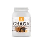 Allnature Chaga