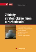 Základy strategického řízení a rozhodování, Mallya Thaddeus