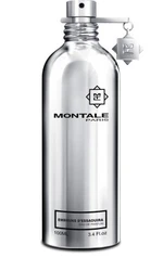 Montale Embruns D Essaouira Edp 100ml