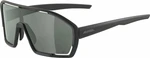 Alpina Bonfire Q-Lite Black Matt/Silver Ochelari ciclism