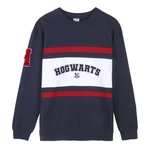 SWEATSHIRT COTTON BRUSHED HARRY POTTER