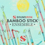 Soundiron Bamboo Stick Ensemble (Produs digital)