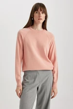 DEFACTO Regular Fit Crew Neck Sweater