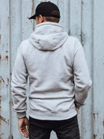 Men's hoodie light gray Dstreet