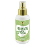 PURITY VISION Medovková voda BIO 100 ml