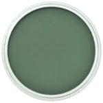 PanPastel 9ml – 640.1 Permanent Green Extra Dark