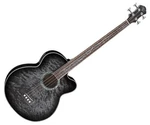 Michael Kelly Dragonfly 4 Smoke Burst Bas acustic