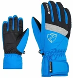 Ziener Leif GTX Persian Blue 5 SkI Handschuhe