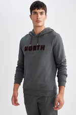 DEFACTO Men's Gray Regular Fit Hooded Printed Thick Fabric Sweatshirt